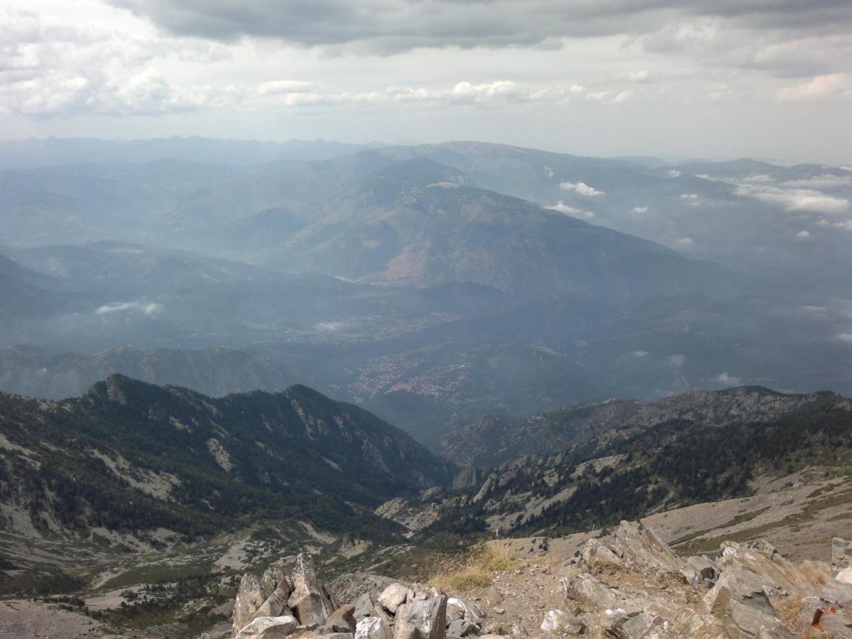 Gite Les Glycines Llupia Екстериор снимка